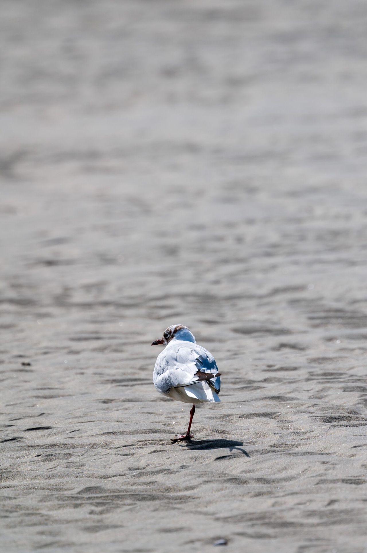 dsc1036-scaled.jpg
