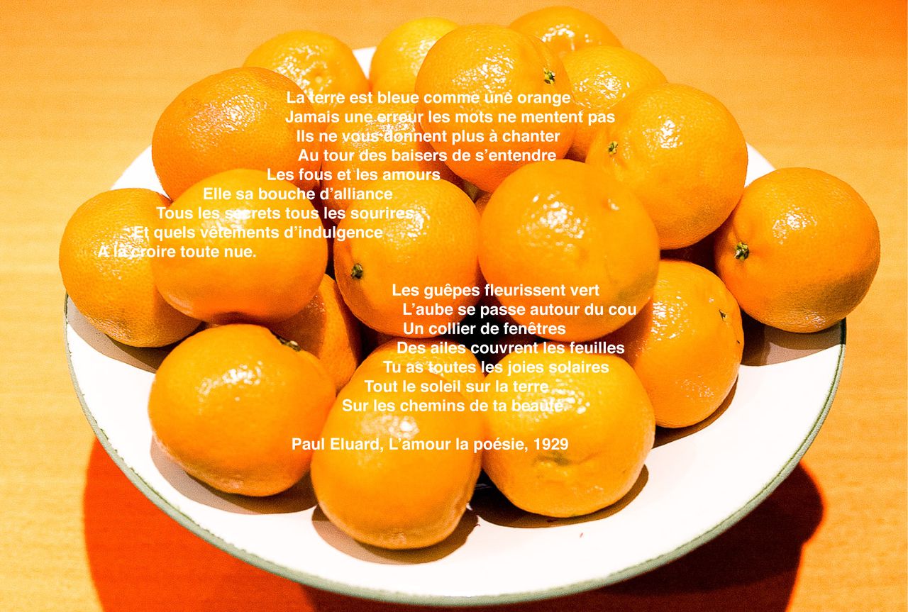 La-terre-est-bleue-comme-une-orange.jpg