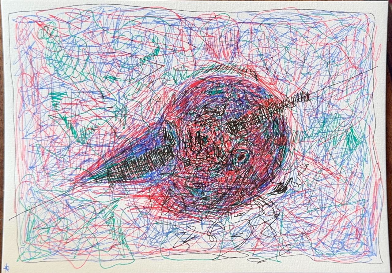 oiseau.jpg